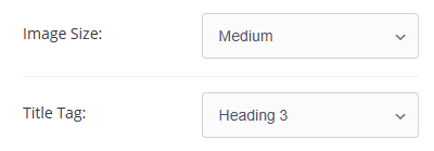 Image size Image size